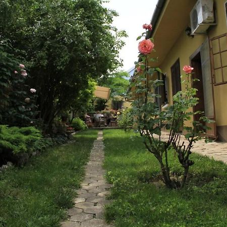 Apartman Brankova Kuca Sremski Karlovci Exterior photo