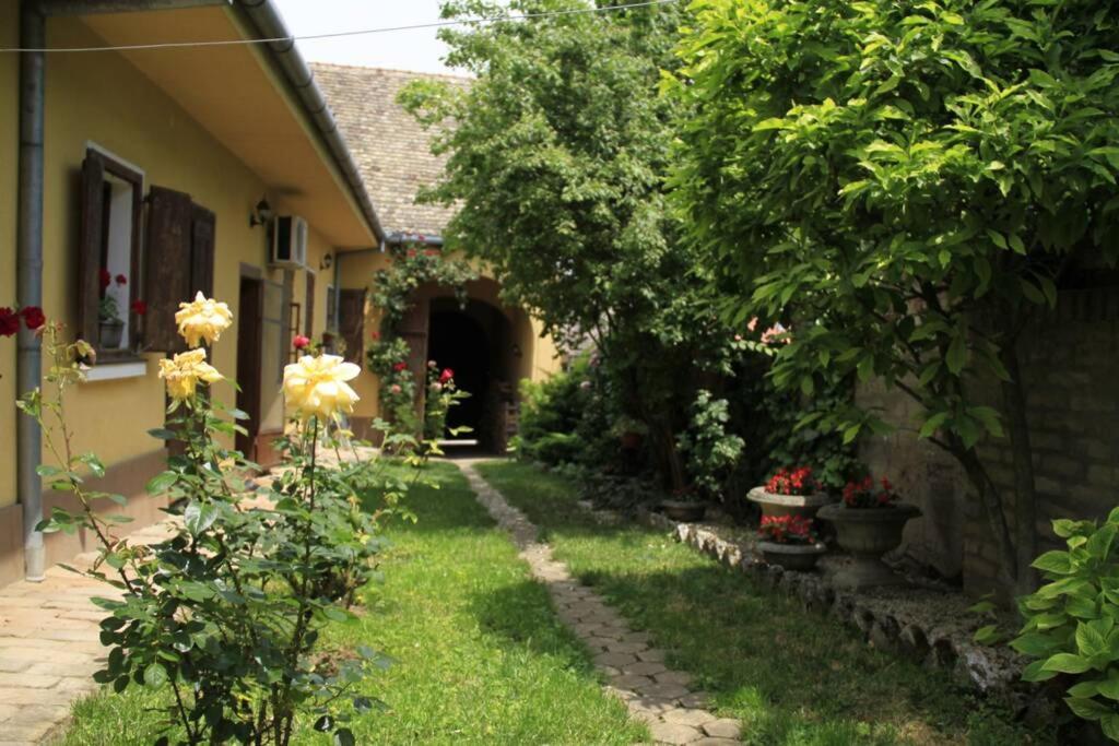 Apartman Brankova Kuca Sremski Karlovci Exterior photo