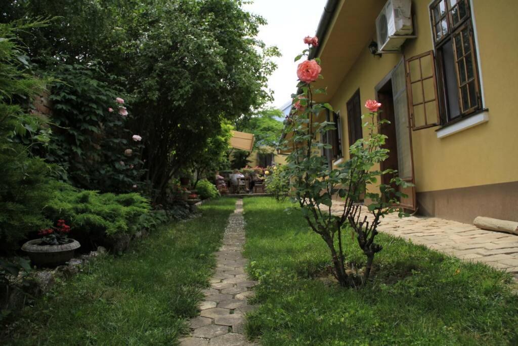 Apartman Brankova Kuca Sremski Karlovci Exterior photo